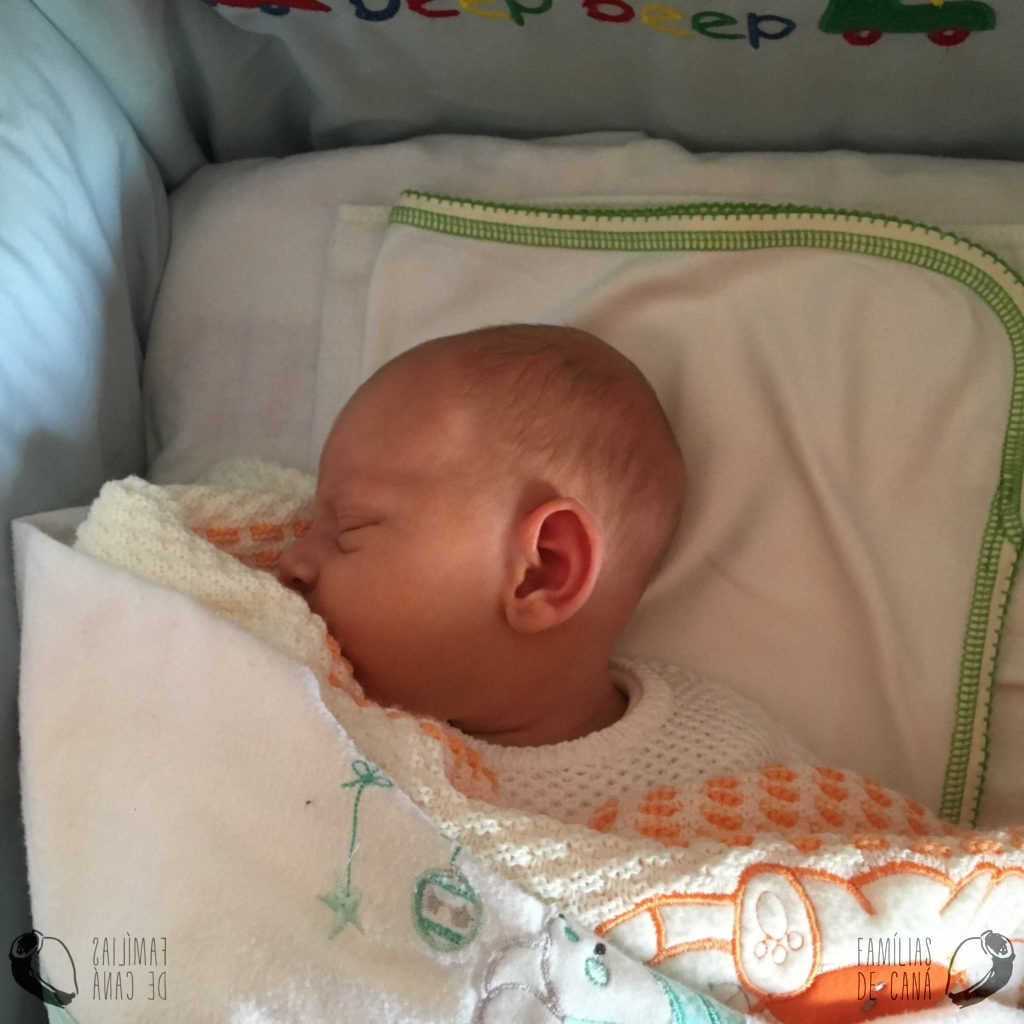 img_0210-e1481624473527