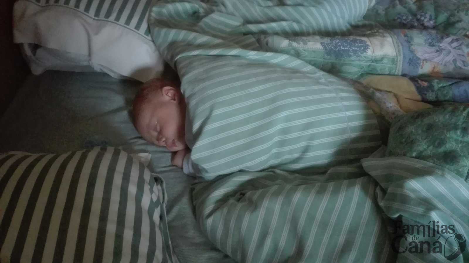 Domingo IV do Tempo Comum, ano C