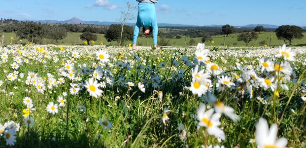 A Palavra, a chuva e a neve