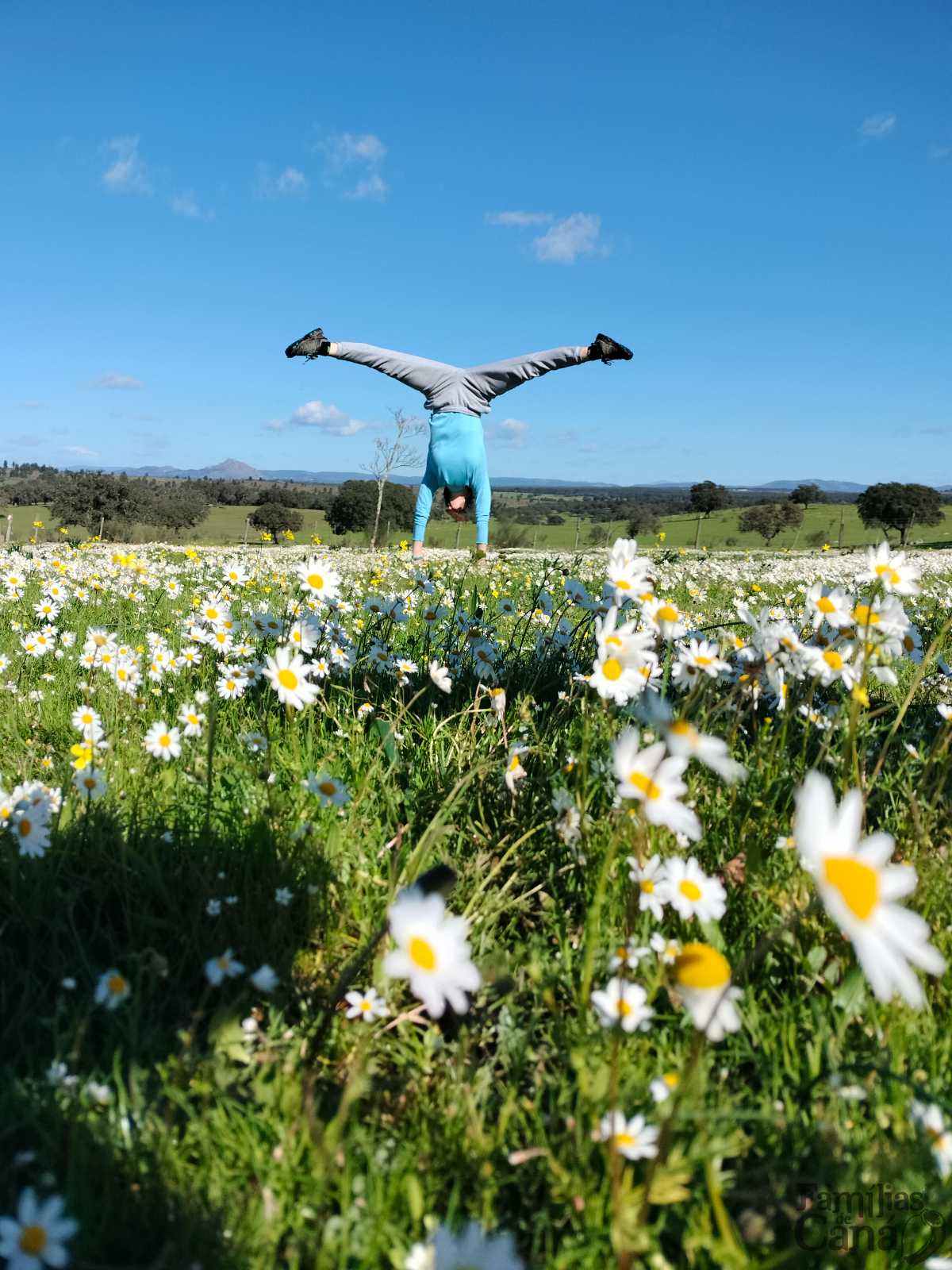 A Palavra, a chuva e a neve